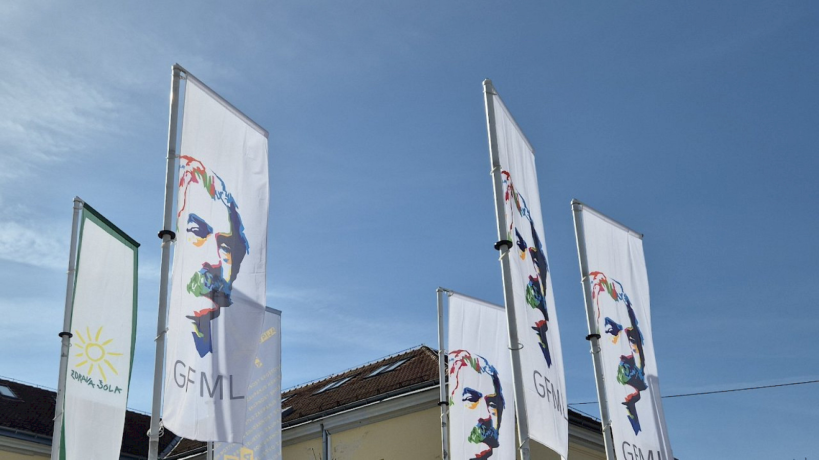 Delavnice na Gimnaziji Franca Miklošiča Ljutomer